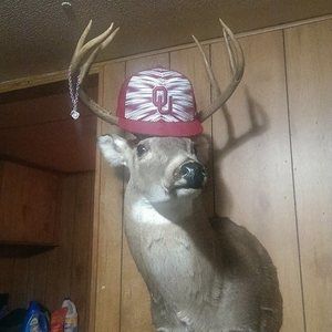 Meet your Posher, Steven